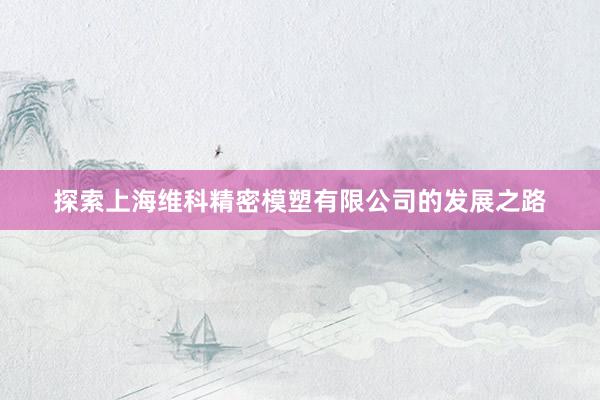 探索上海维科精密模塑有限公司的发展之路